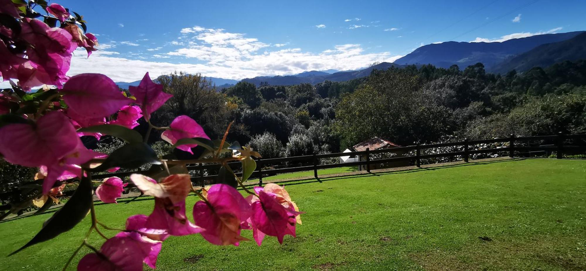 Affittacamere El Corral Del Acebo Nueva Esterno foto